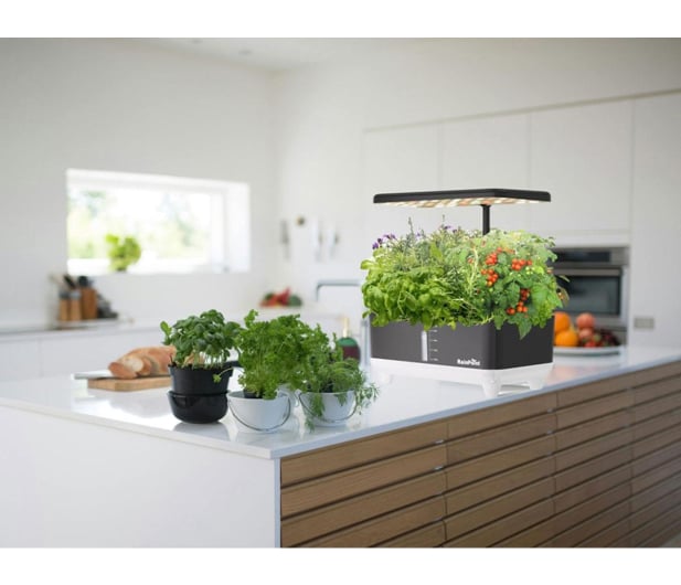 Rainpoint Zestaw do uprawy hydroponicznej - 1540784 - zdjęcie 3